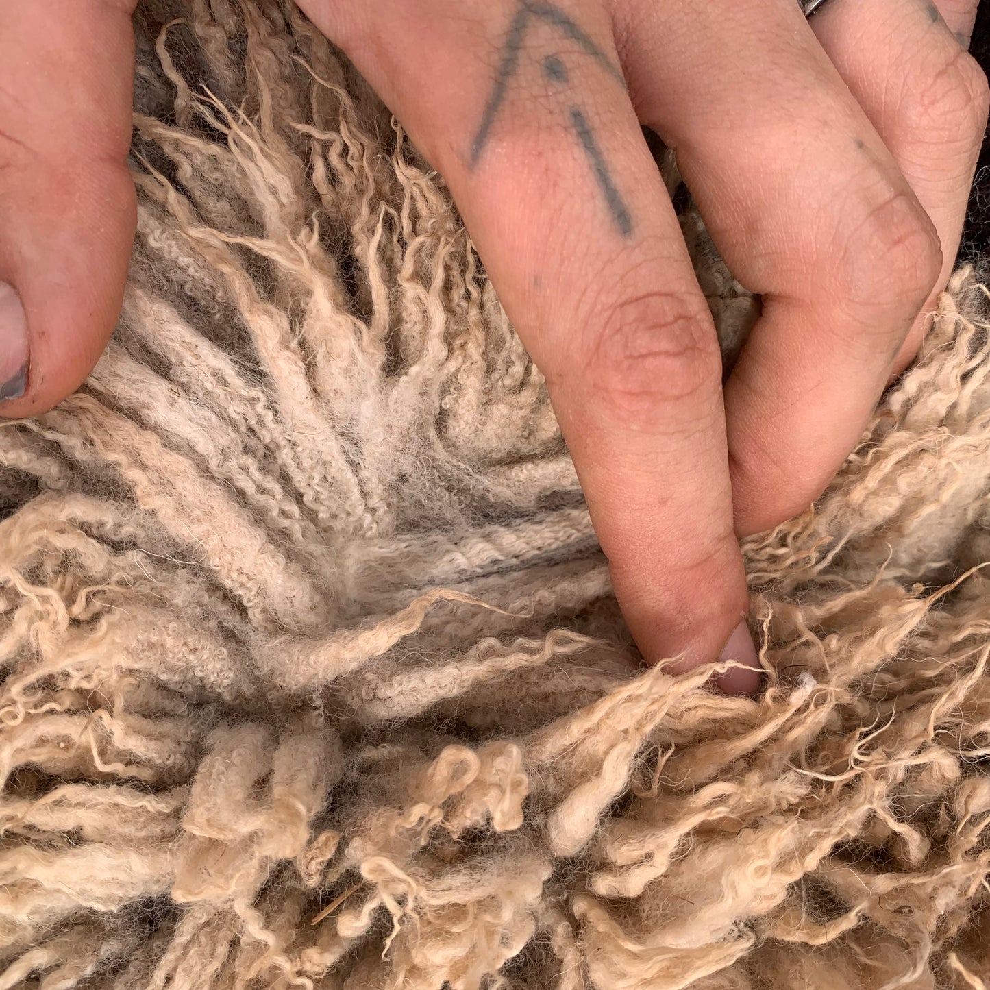sheepskin