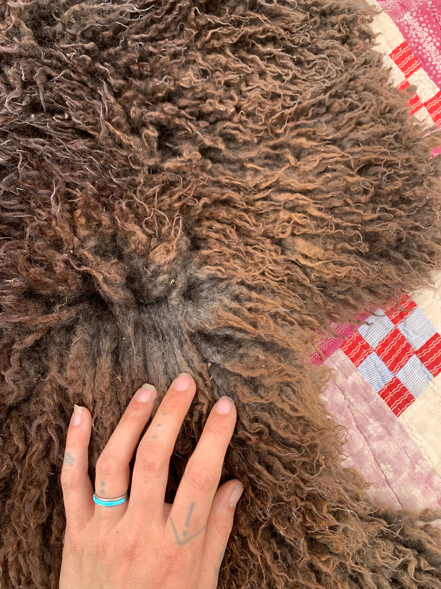 sheepskin