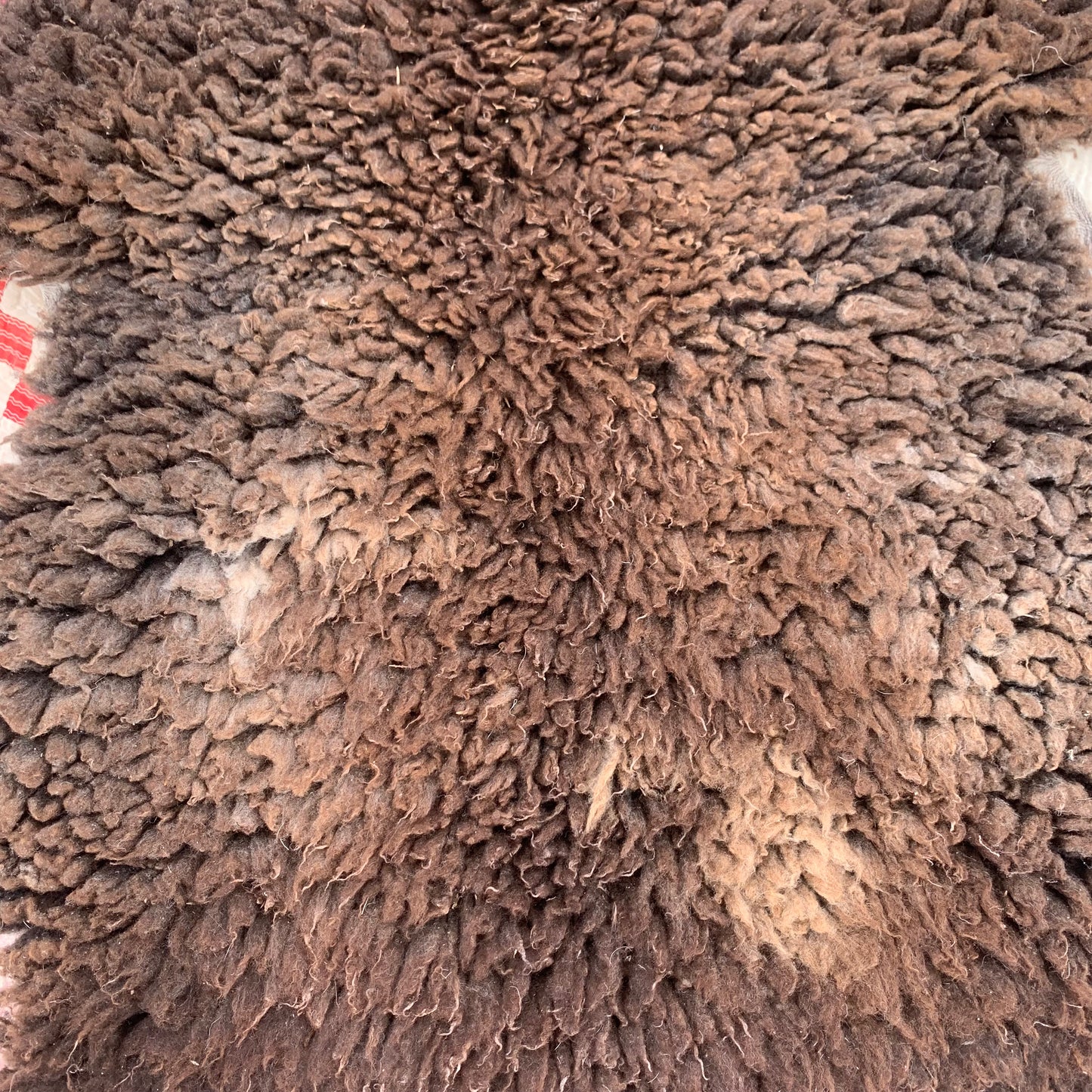 sheepskin