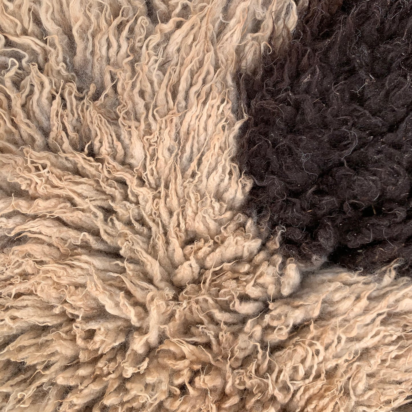 sheepskin