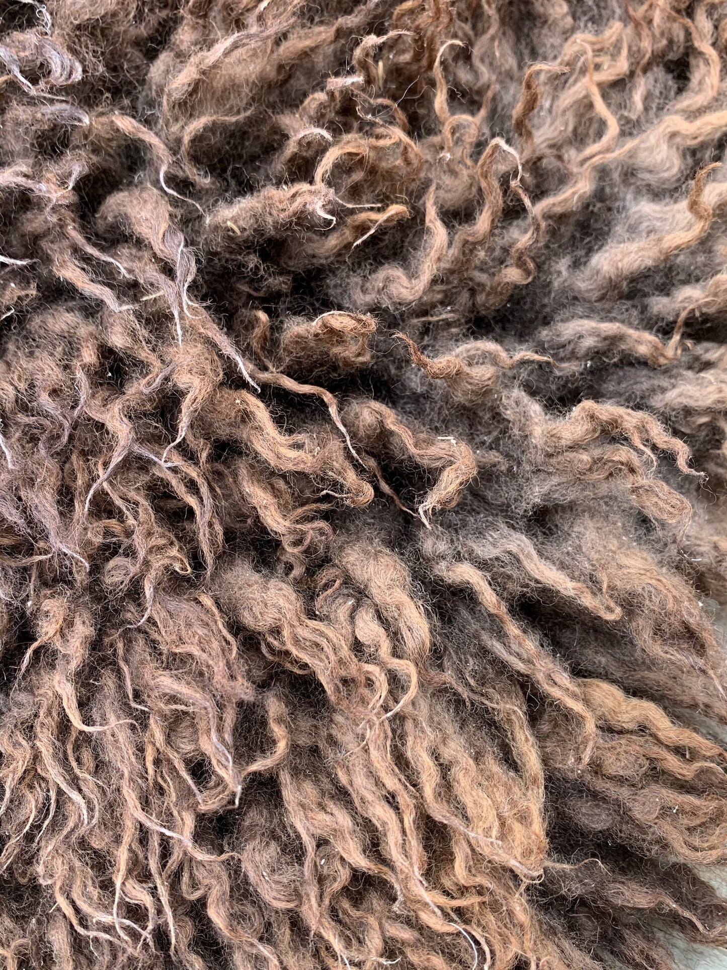 sheepskin