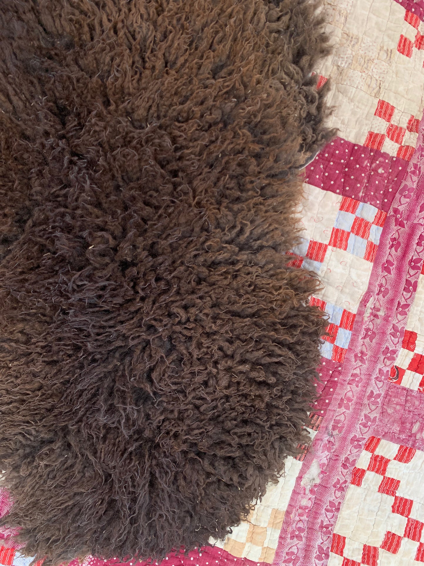 sheepskin