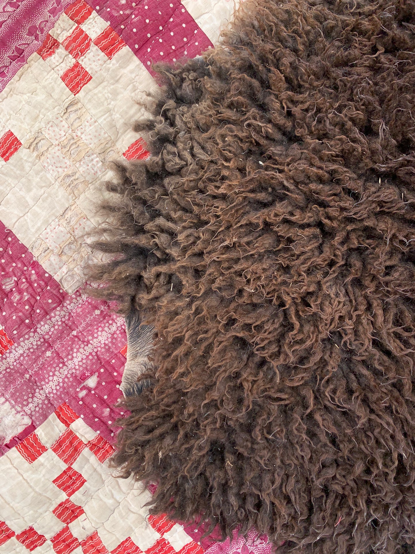 sheepskin