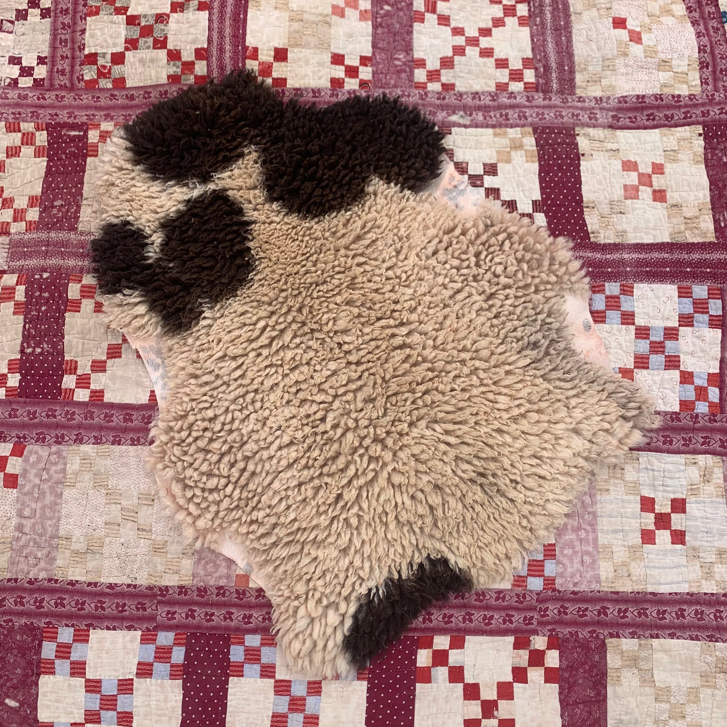 sheepskin