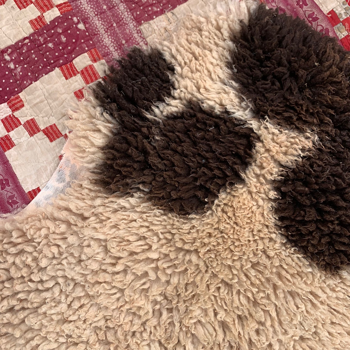 sheepskin