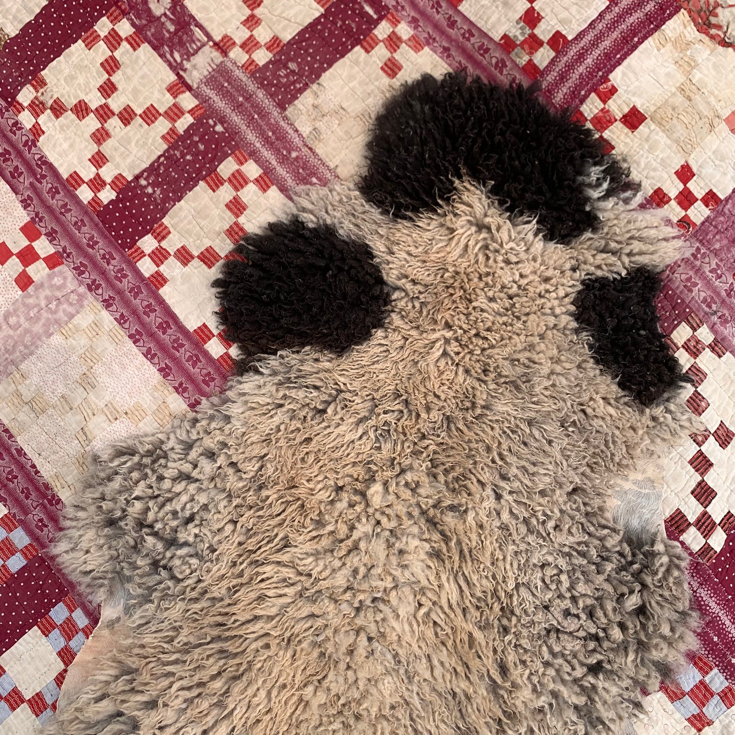 sheepskin