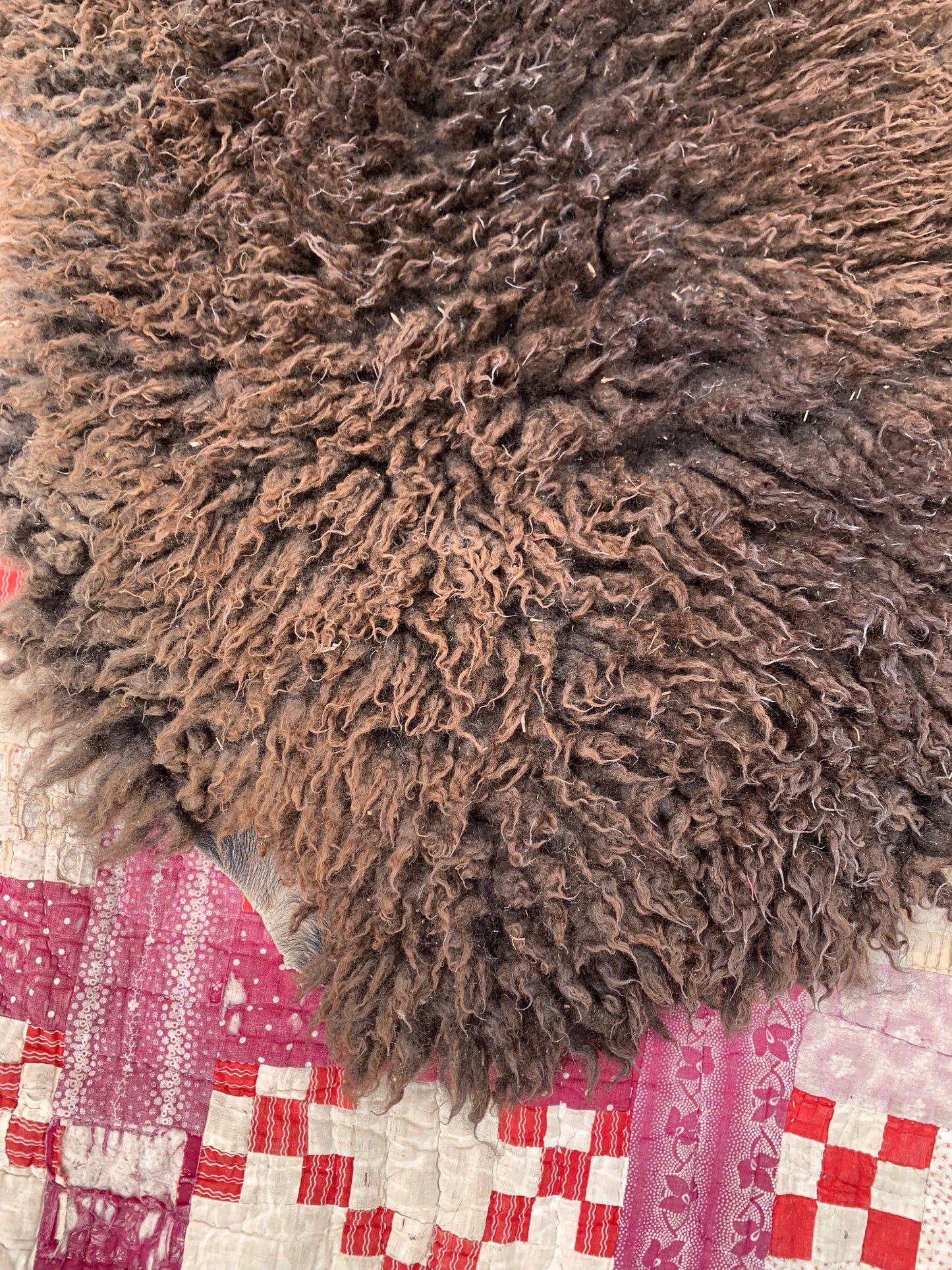 sheepskin