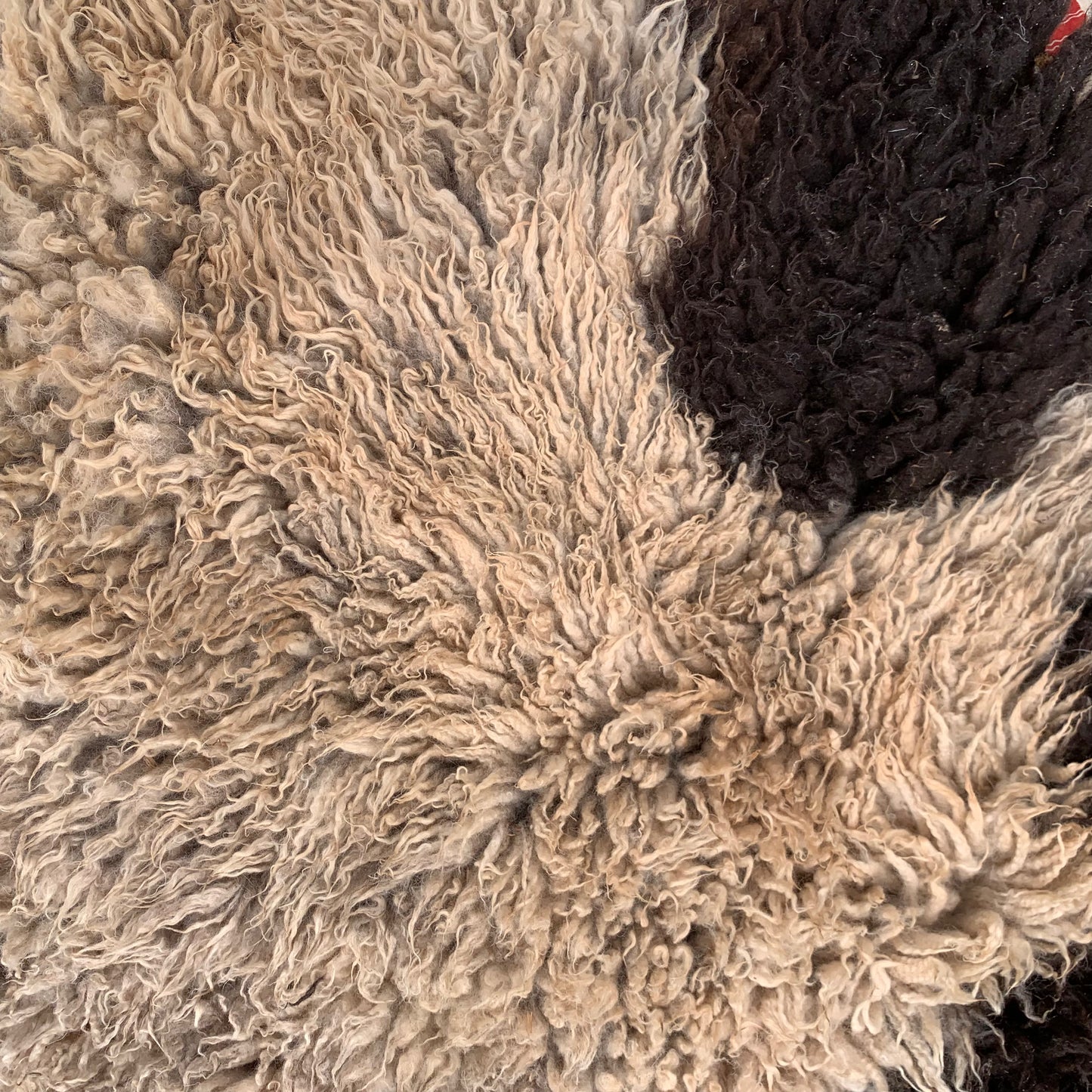 sheepskin