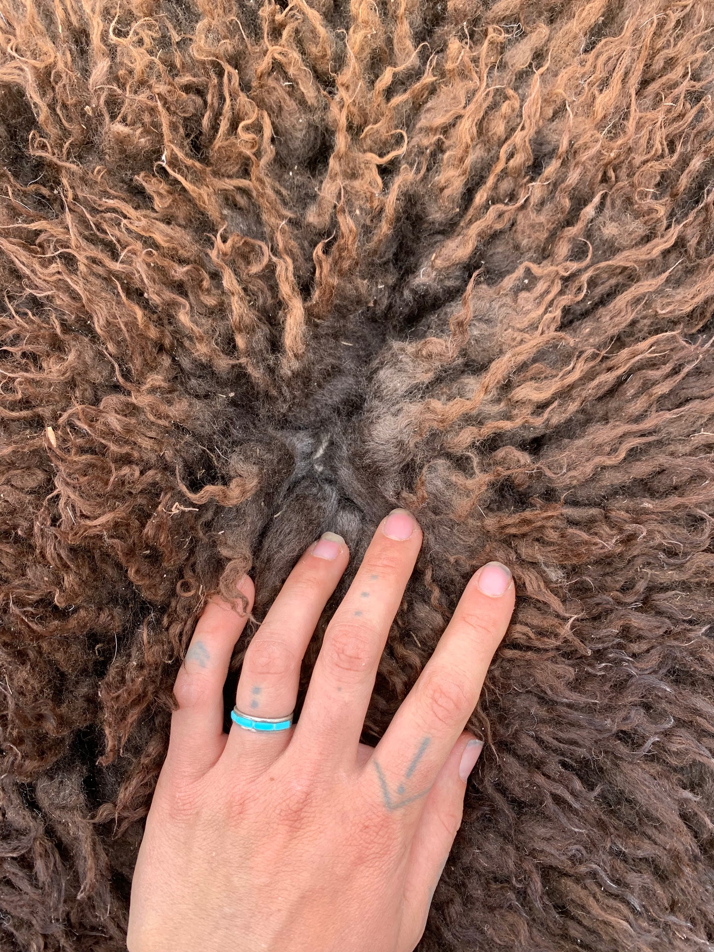 sheepskin