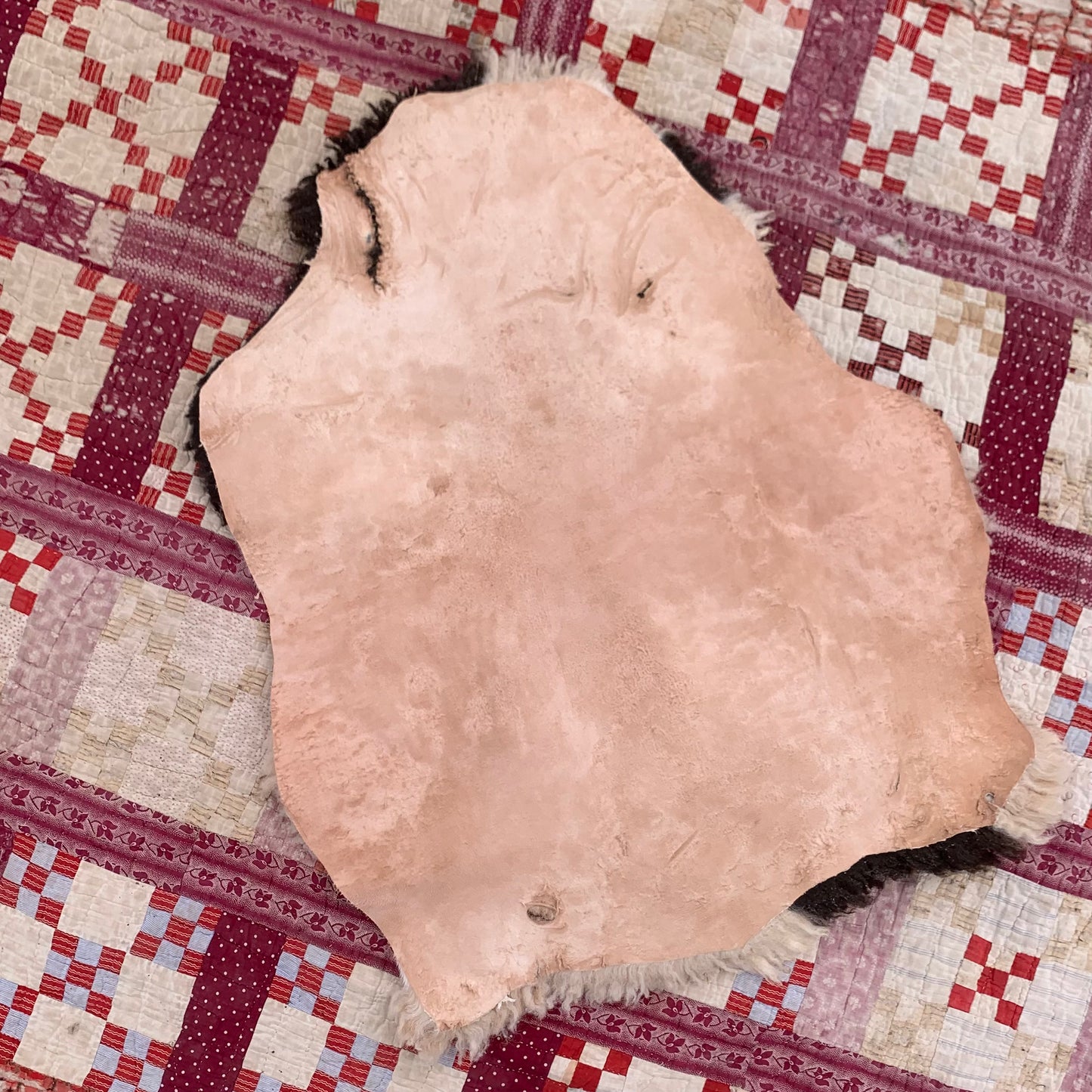 sheepskin