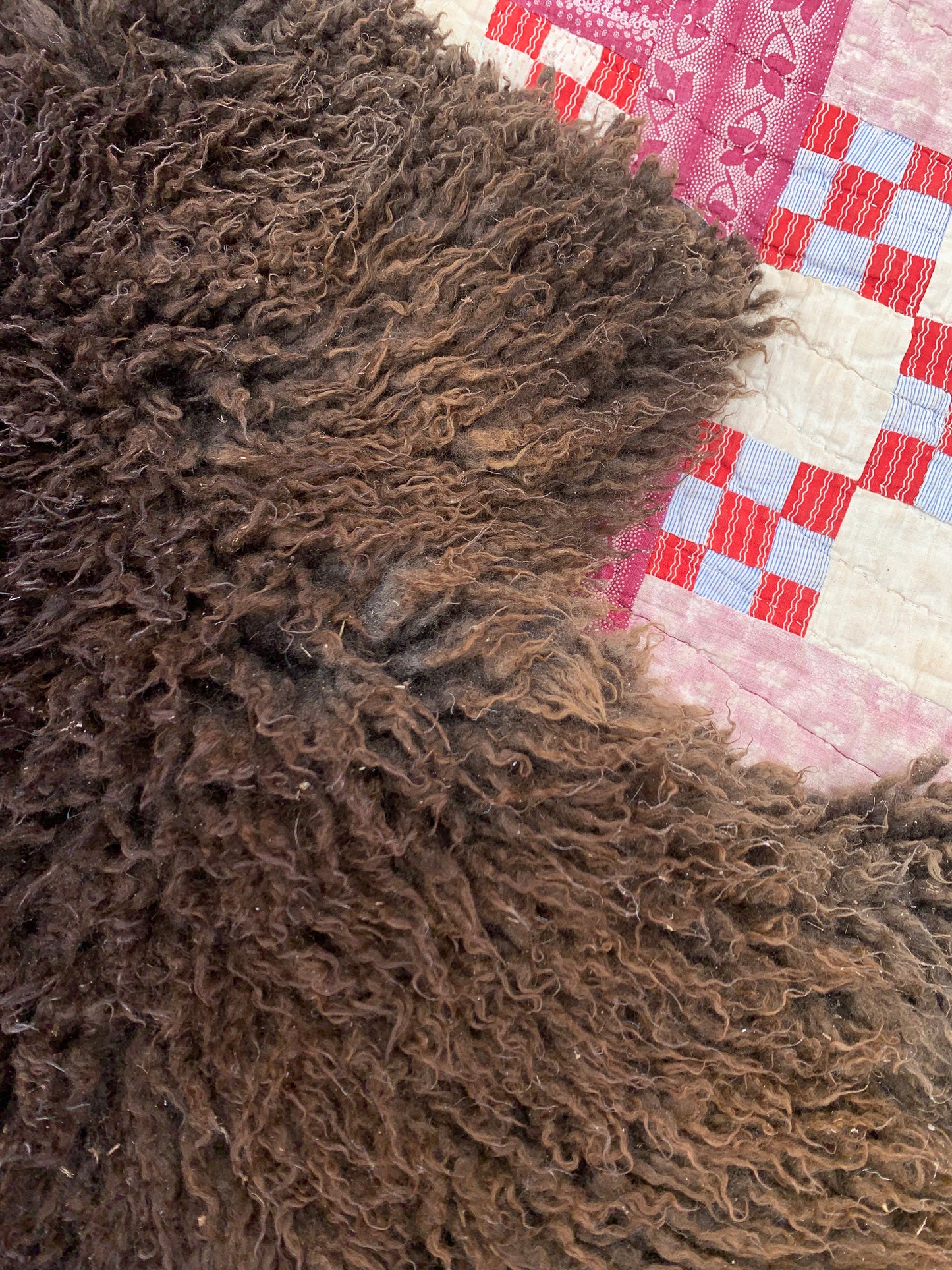 sheepskin