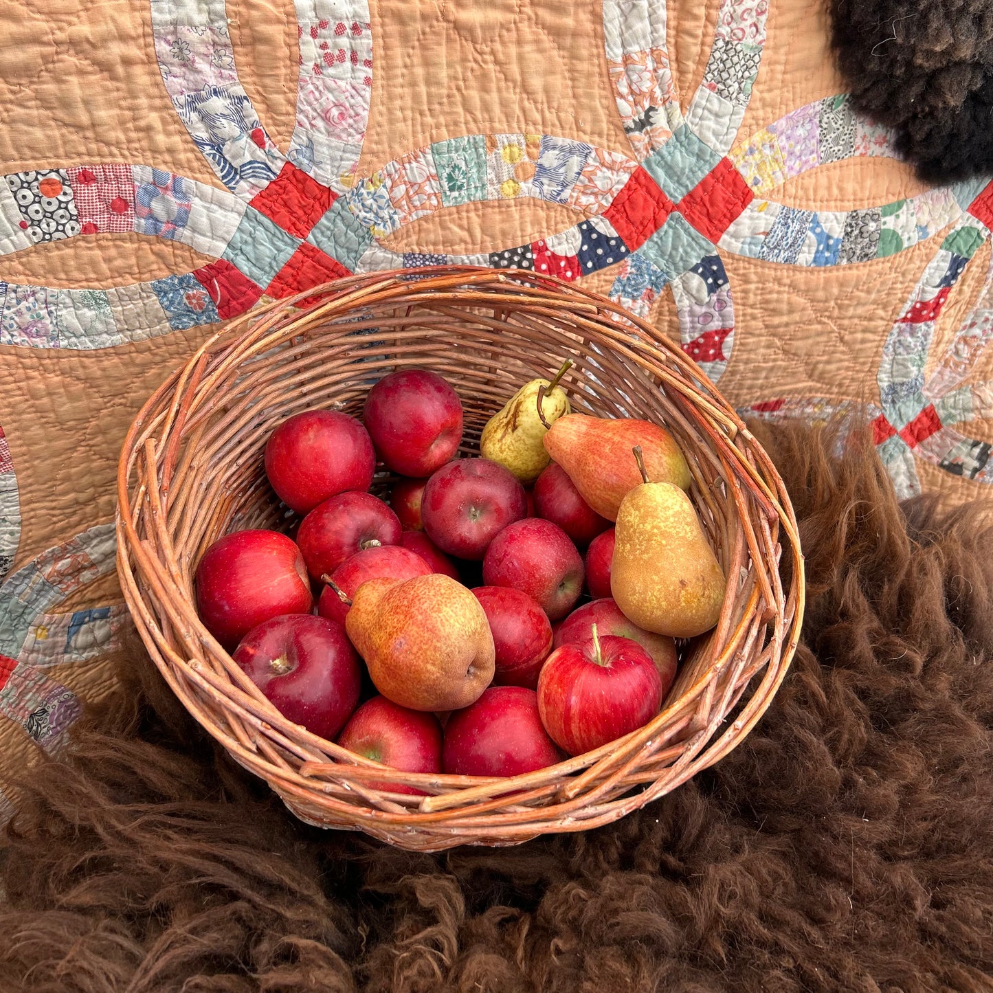 bounty
