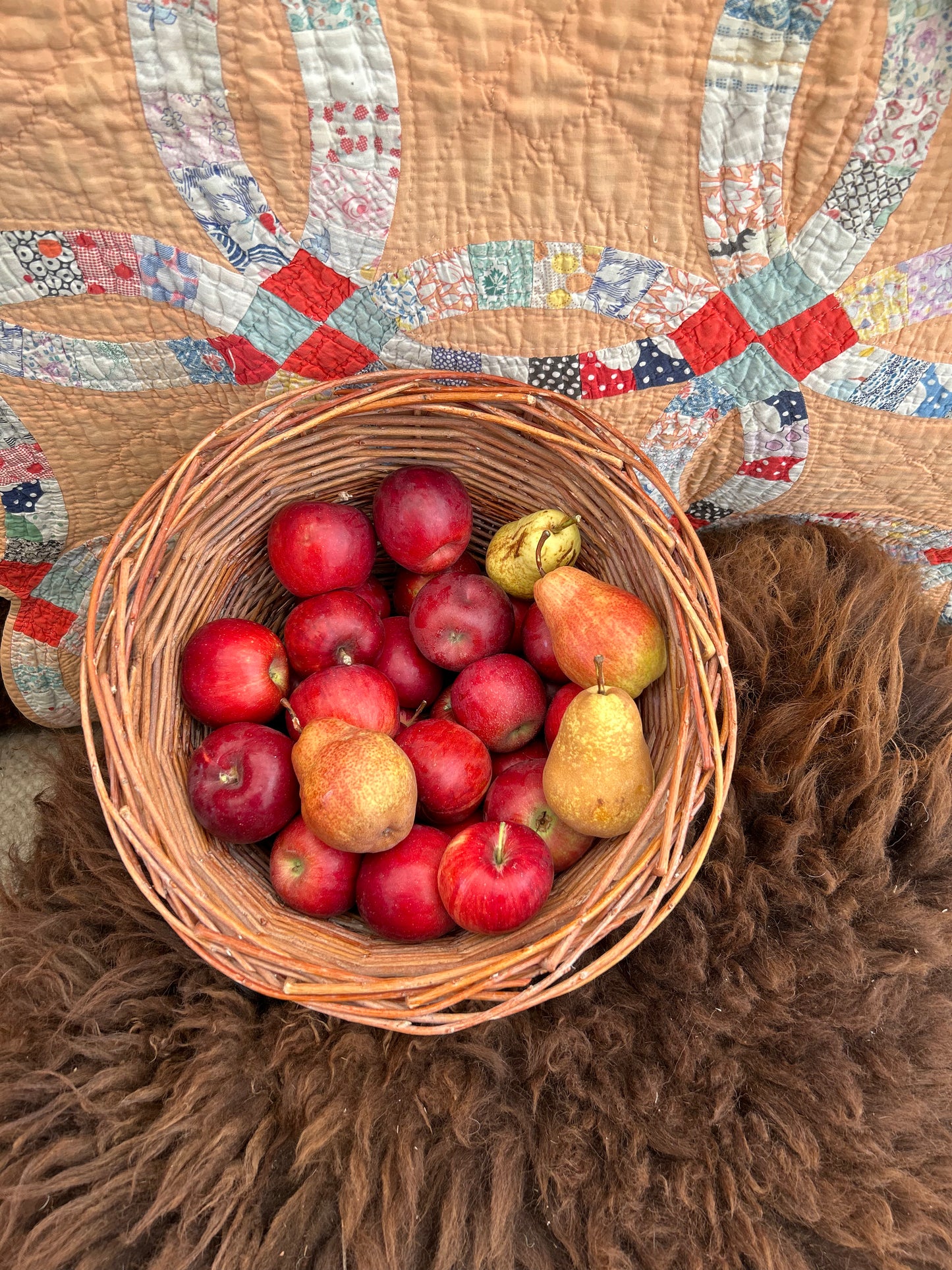 bounty