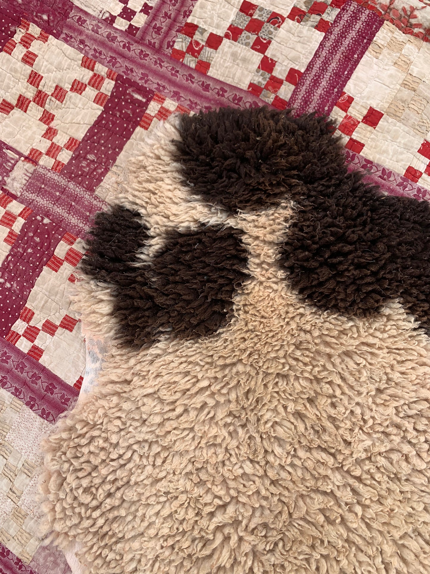 sheepskin