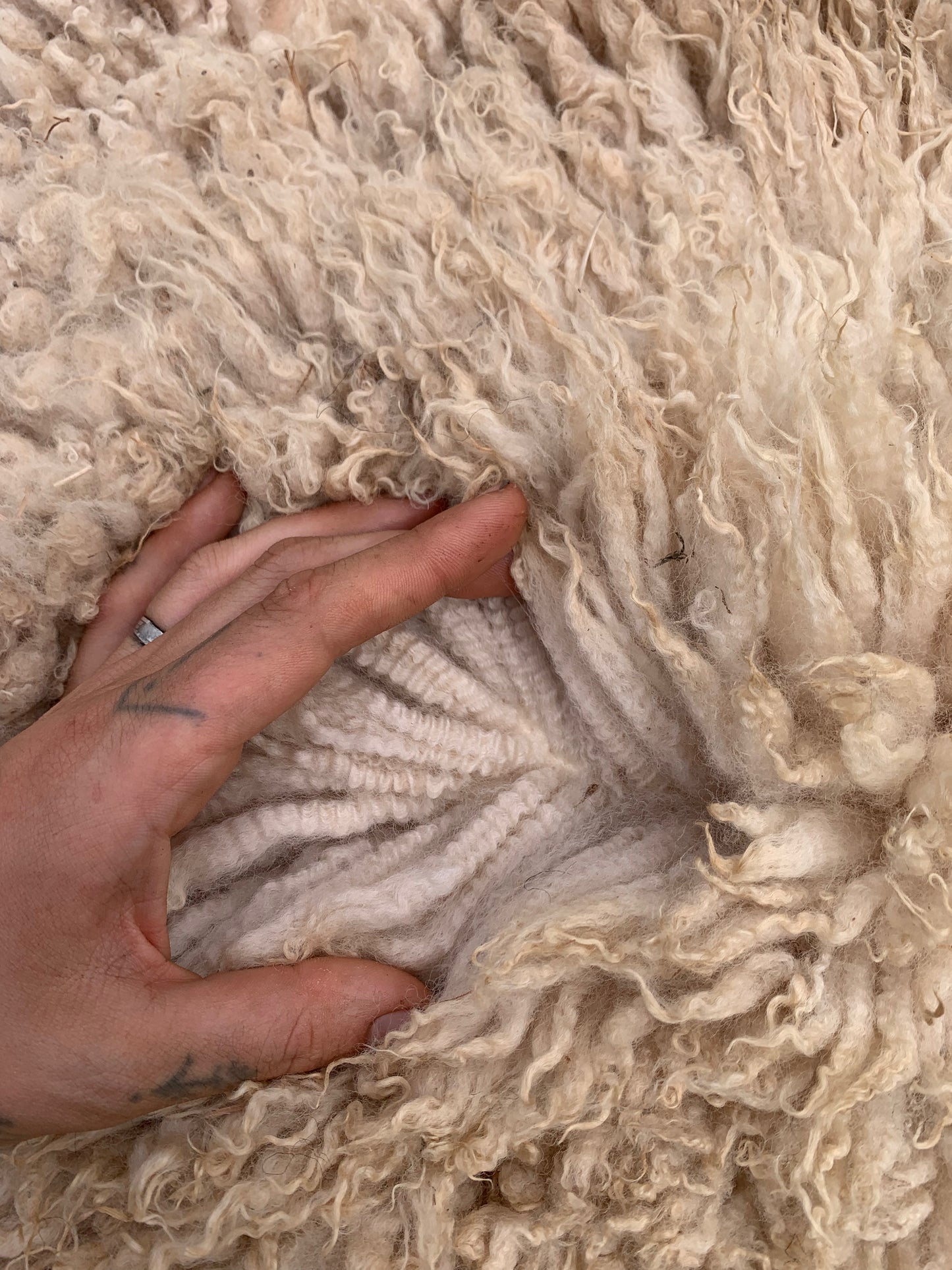 sheepskin