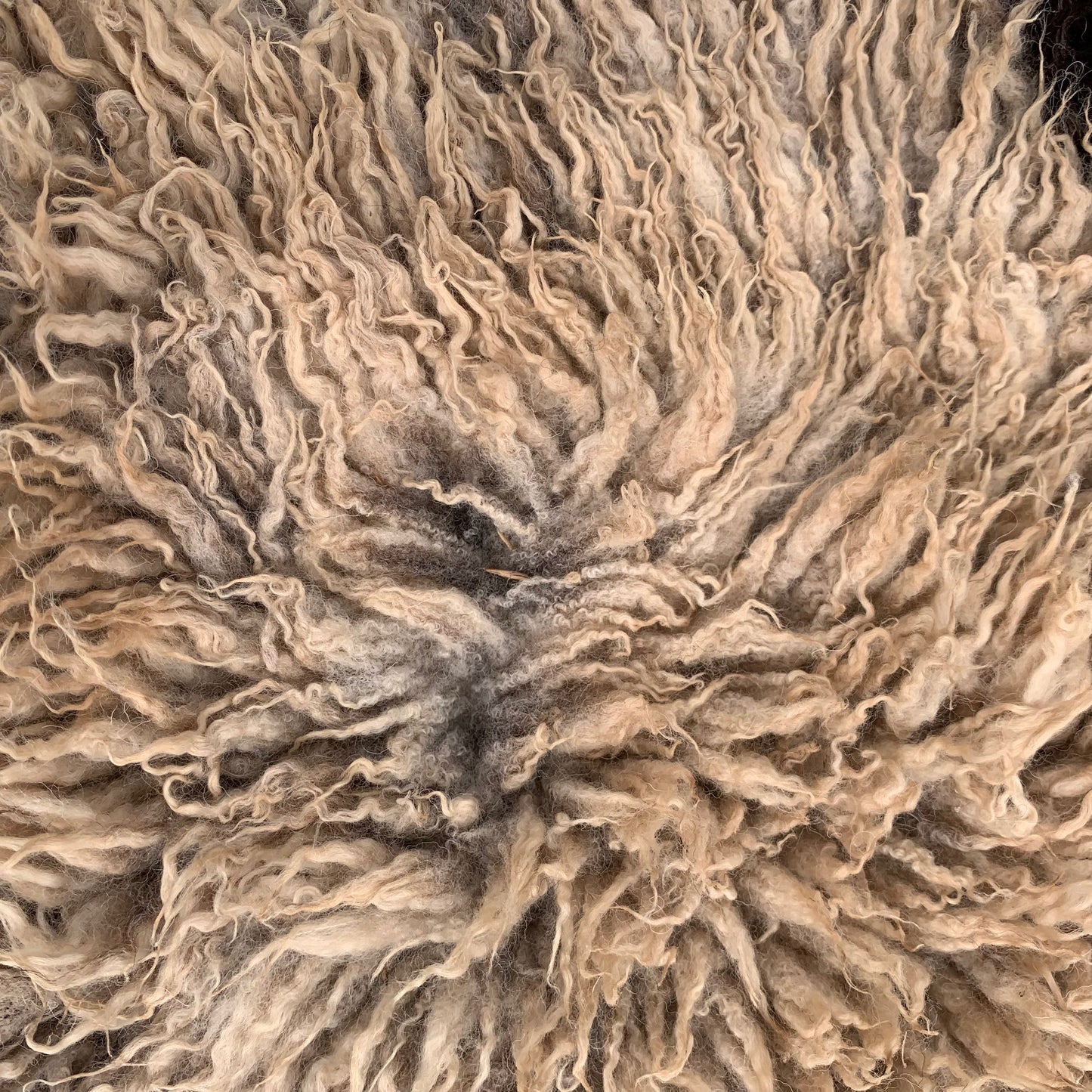 sheepskin