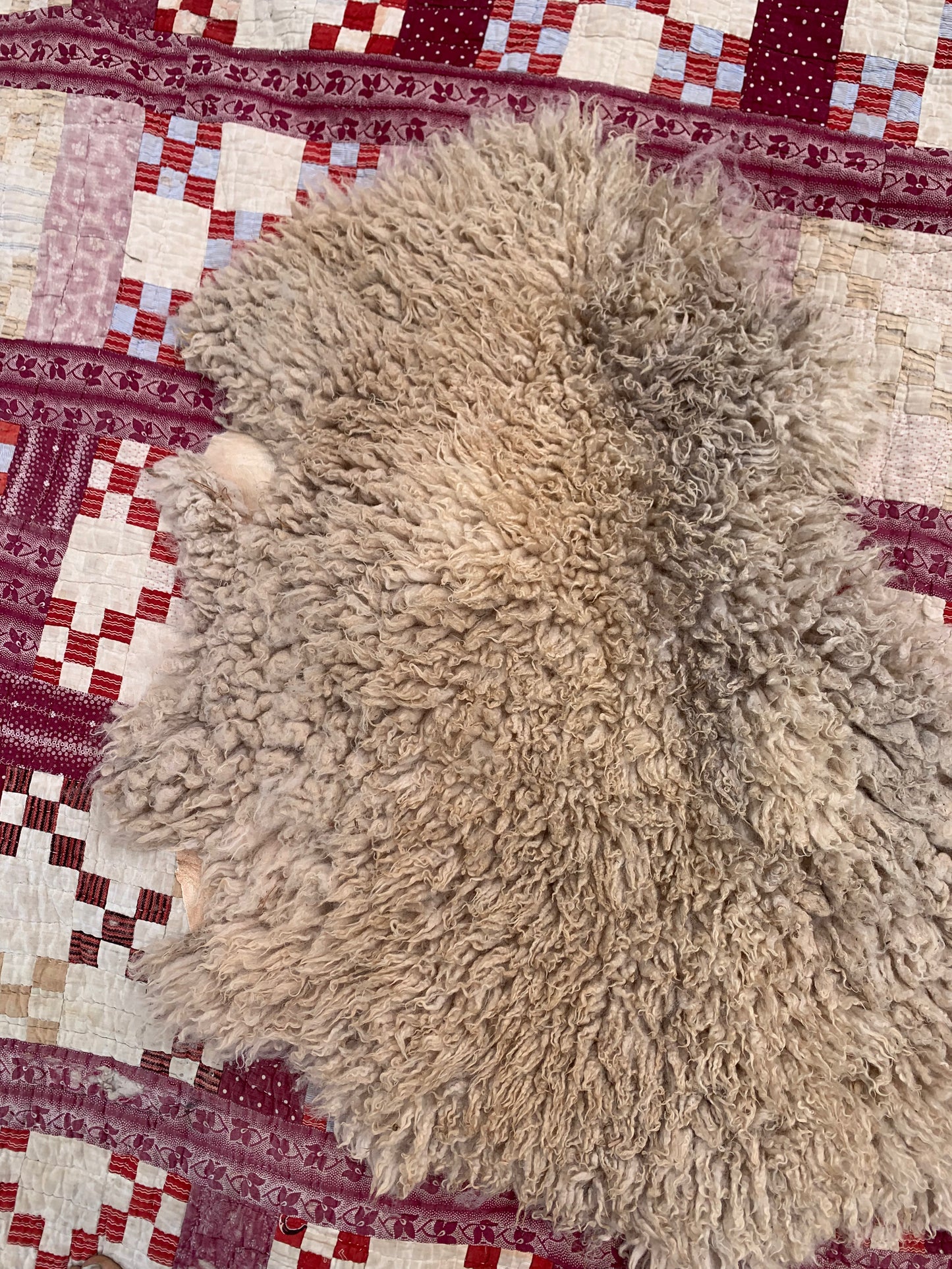 sheepskin