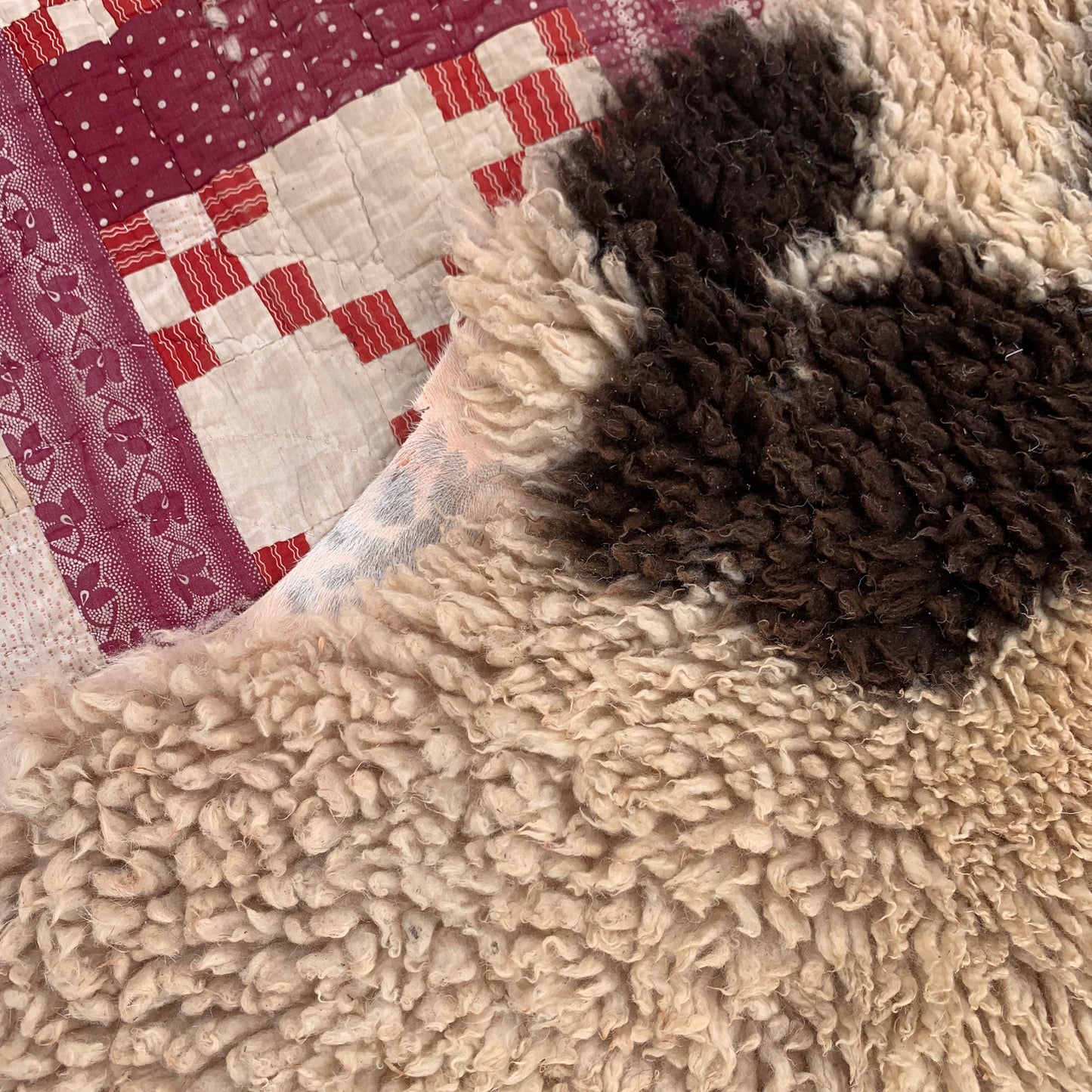 sheepskin