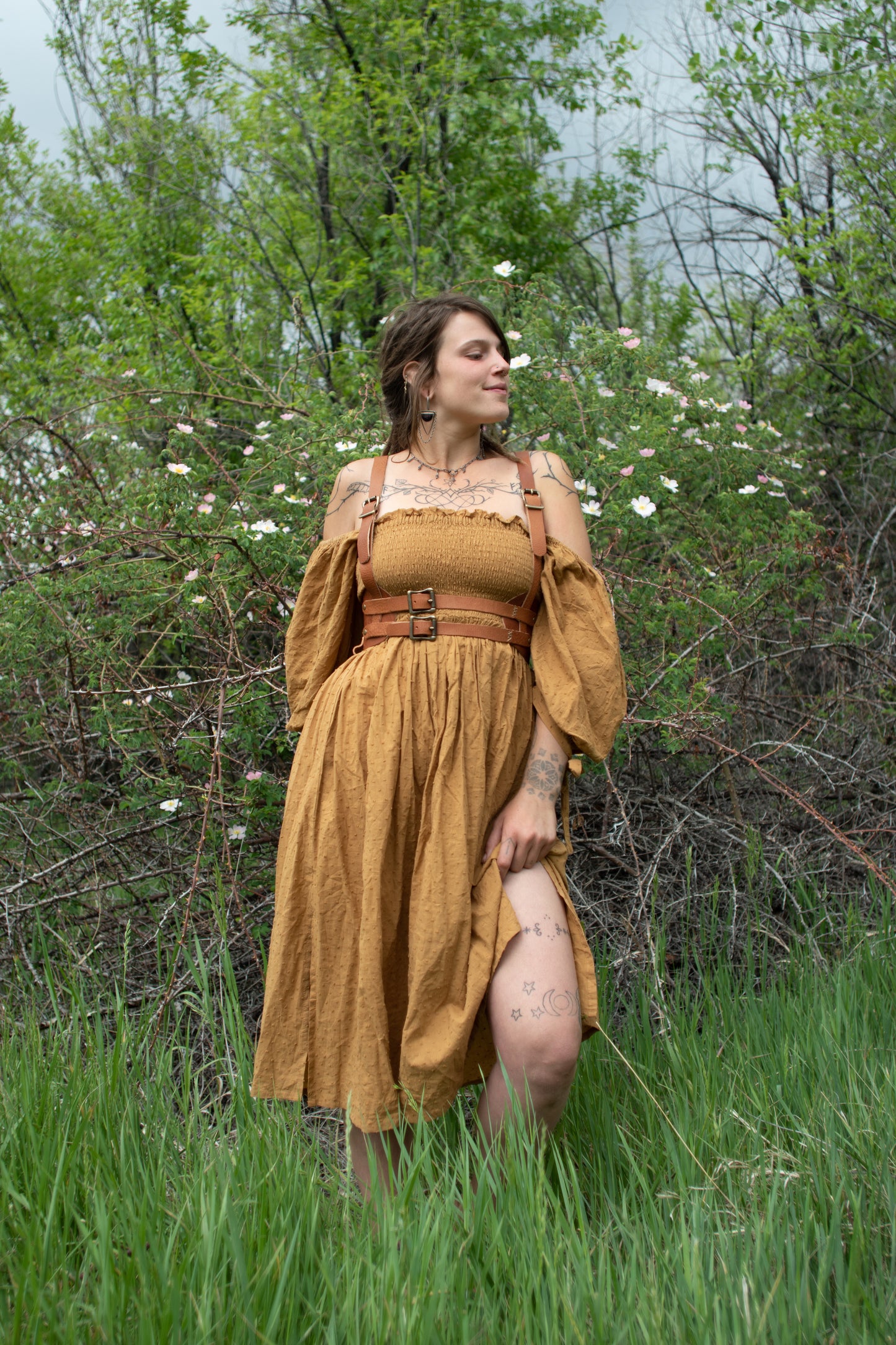 Celestial Harness